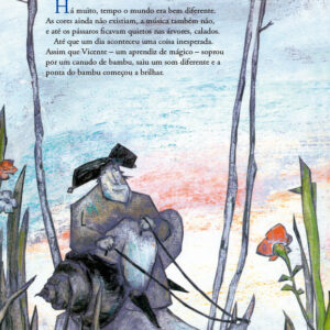 Alternative view of VICENTE E A MAGIA DAS CORES