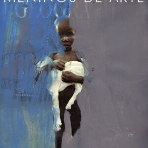 MENINOS DE ARTE - UMA METODOLOGIA